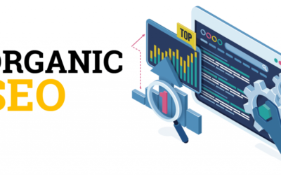 Organic Google SEO Value Advantage Vs Inorganic Paid Search Benefits For Small Business In 2022 | How To Rapidly Increase Website Search Traffic, Techniques, Tools, & Examples